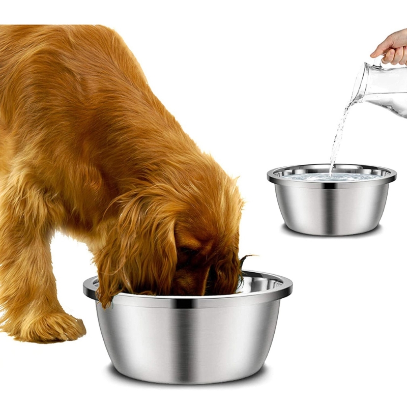 A Stainless Steel Dog Feeders  - đánh giá và giá Royal Canin Food Medium